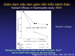Giảm đạm niệu làm giảm tiến triển bệnh thận
Ramipril Efficacy In Nephropathy study: REIN
Ruggenent P et al, The Lancet, 1998, 352:1252-56
Ramipril 1,5-5mg/d
Ramipril có hiệu quả làm chậm tiến triển suy giảm ĐLCT
trên bn bệnh thận không do đái tháo đường
 