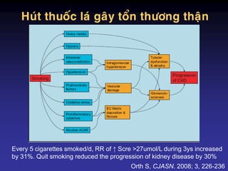 Huùt thuoác laù gaây toån thöông thaän
Orth S, CJASN. 2008; 3, 226-236
Every 5 cigarettes smoked/d, RR of ↑ Scre >27umol/L during 3ys increased
by 31%. Quit smoking reduced the progression of kidney disease by 30%
 