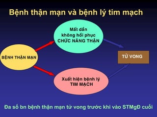 Bệnh thận mạn và bệnh lý tim mạch
BEÄNH THAÄN MAÏN
Xuaát hieän beänh lyù
TIM MAÏCH
Maát daàn
khoâng hoài phuïc
CHÖÙC NAÊNG THAÄN
TÖÛ VONG
Đa số bn bệnh thận mạn tử vong trước khi vào STMgĐ cuối
 
