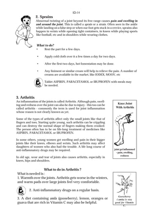 12 bones and muscles | PDF