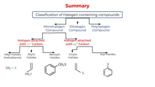Comprehensive Study of Haloalkanes and Haloarenes: Classification ...