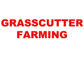 GRASSCUTTER
FARMING
 