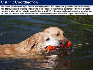 Are teams coordinated by a central leadership team that assists the groups to obtain what they
need for success? Do teams understand the concept of the internal customer—the next process,
anyone to whom they provide a product or a service? Is the organization developing a customer-
focused process-focused orientation and moving away from traditional departmental thinking?
C # 11 : Coordination
 