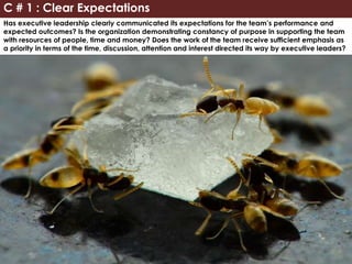 Has executive leadership clearly communicated its expectations for the team’s performance and
expected outcomes? Is the organization demonstrating constancy of purpose in supporting the team
with resources of people, time and money? Does the work of the team receive sufficient emphasis as
a priority in terms of the time, discussion, attention and interest directed its way by executive leaders?
C # 1 : Clear Expectations
 