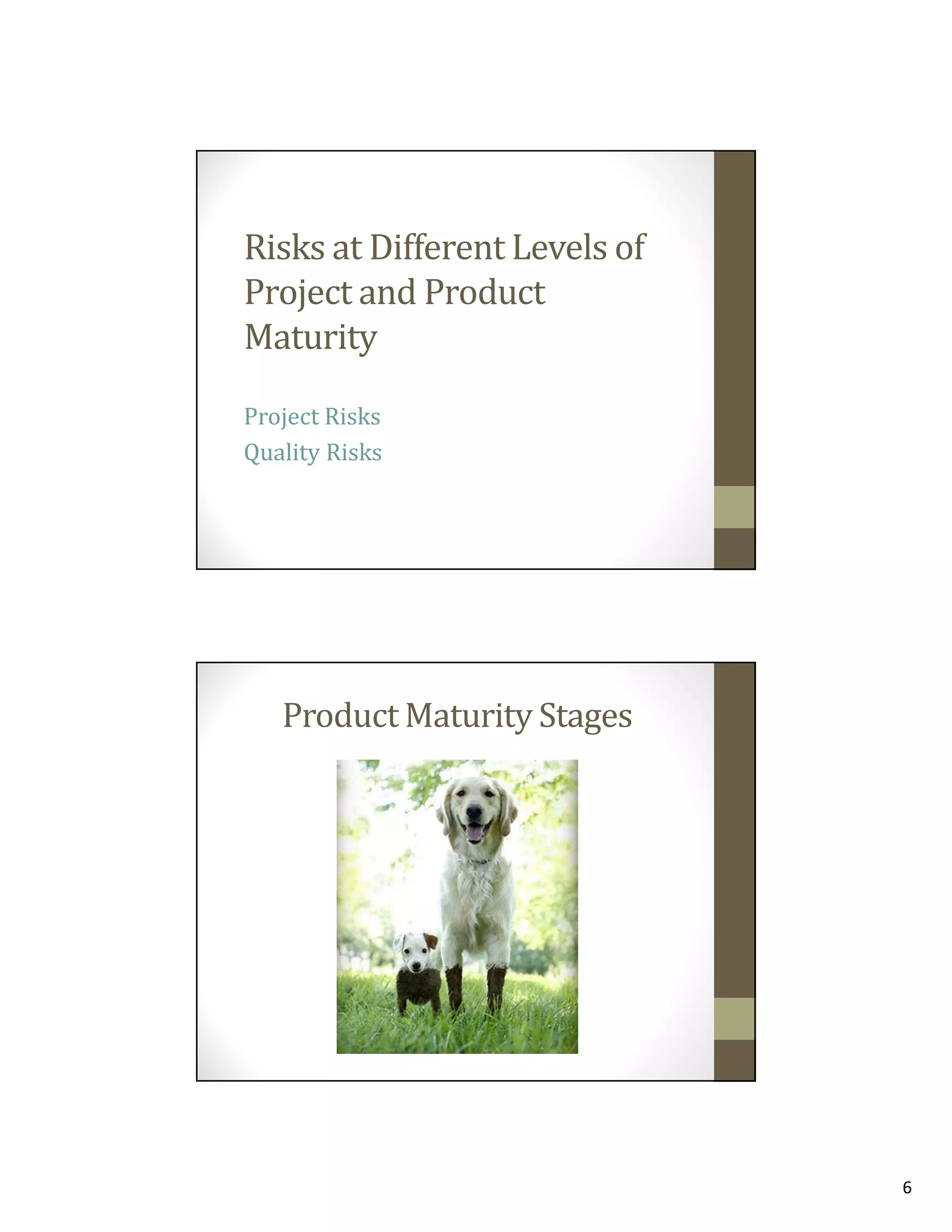 Risks at Different Levels of
Project and Product
Maturity
Project Risks
Quality Risks

Product Maturity Stages

6

 