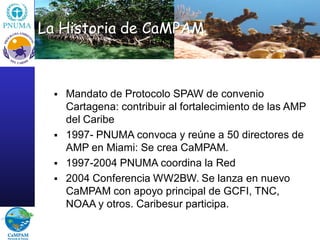 La Historia de CaMPAM



     Mandato de Protocolo SPAW de convenio
      Cartagena: contribuir al fortalecimiento de las...