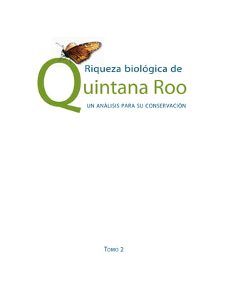 Tomo 2
Riqueza biológica de
un análisis para su conservaciónQRiqueza
QRiqueza
Quintana Roo
 