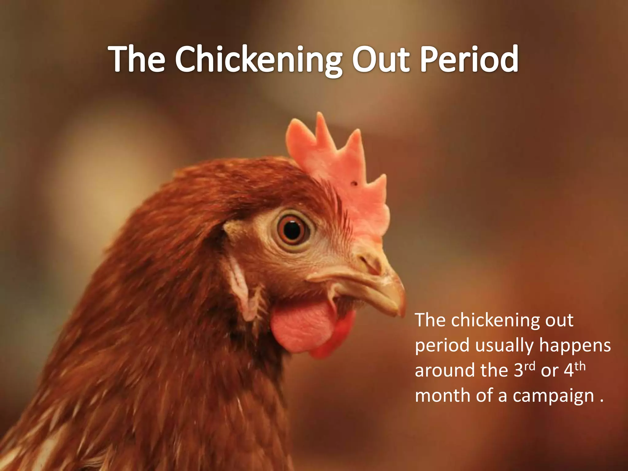 The chickening out
period usually happens
around the 3rd or 4th
month of a campaign .
 