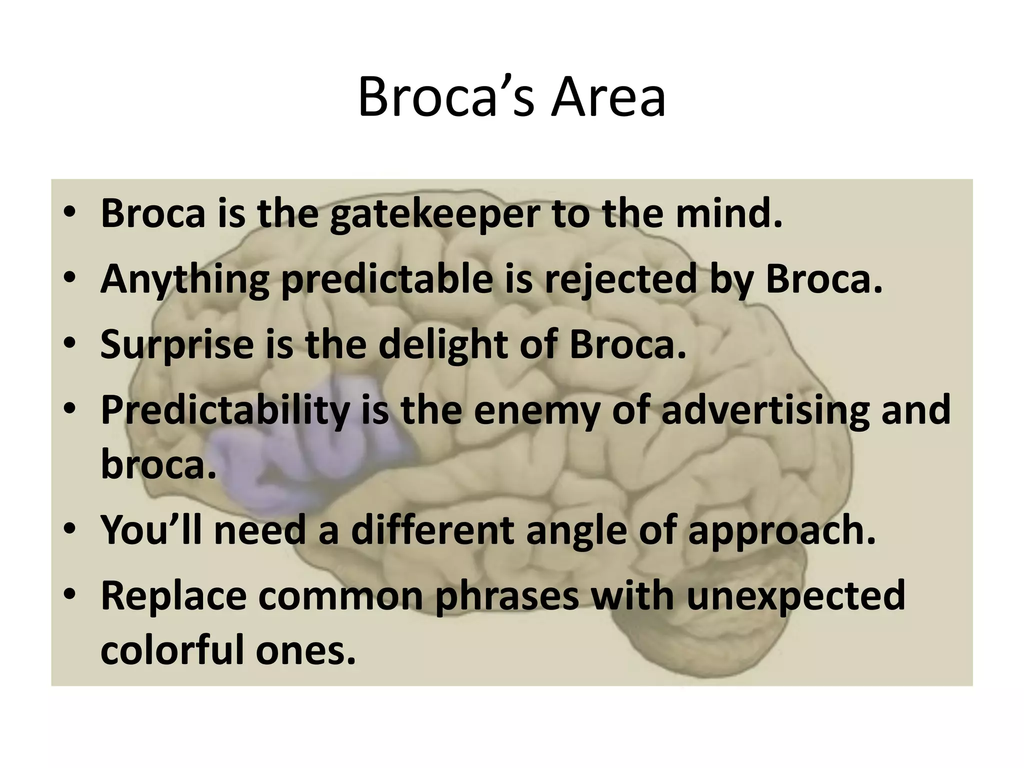 Broca’s Area
• Broca is the gatekeeper to the mind.
• Anything predictable is rejected by Broca.
• Surprise is the delight of Broca.
• Predictability is the enemy of advertising and
broca.
• You’ll need a different angle of approach.
• Replace common phrases with unexpected
colorful ones.
 