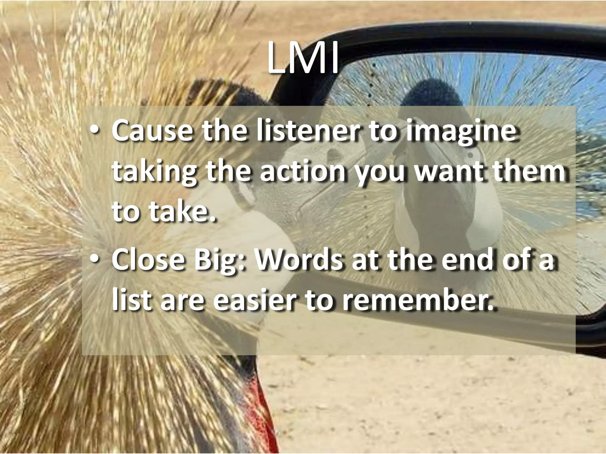 LMI
• Cause the listener to imagine
taking the action you want them
to take.
• Close Big: Words at the end of a
list are easier to remember.
 