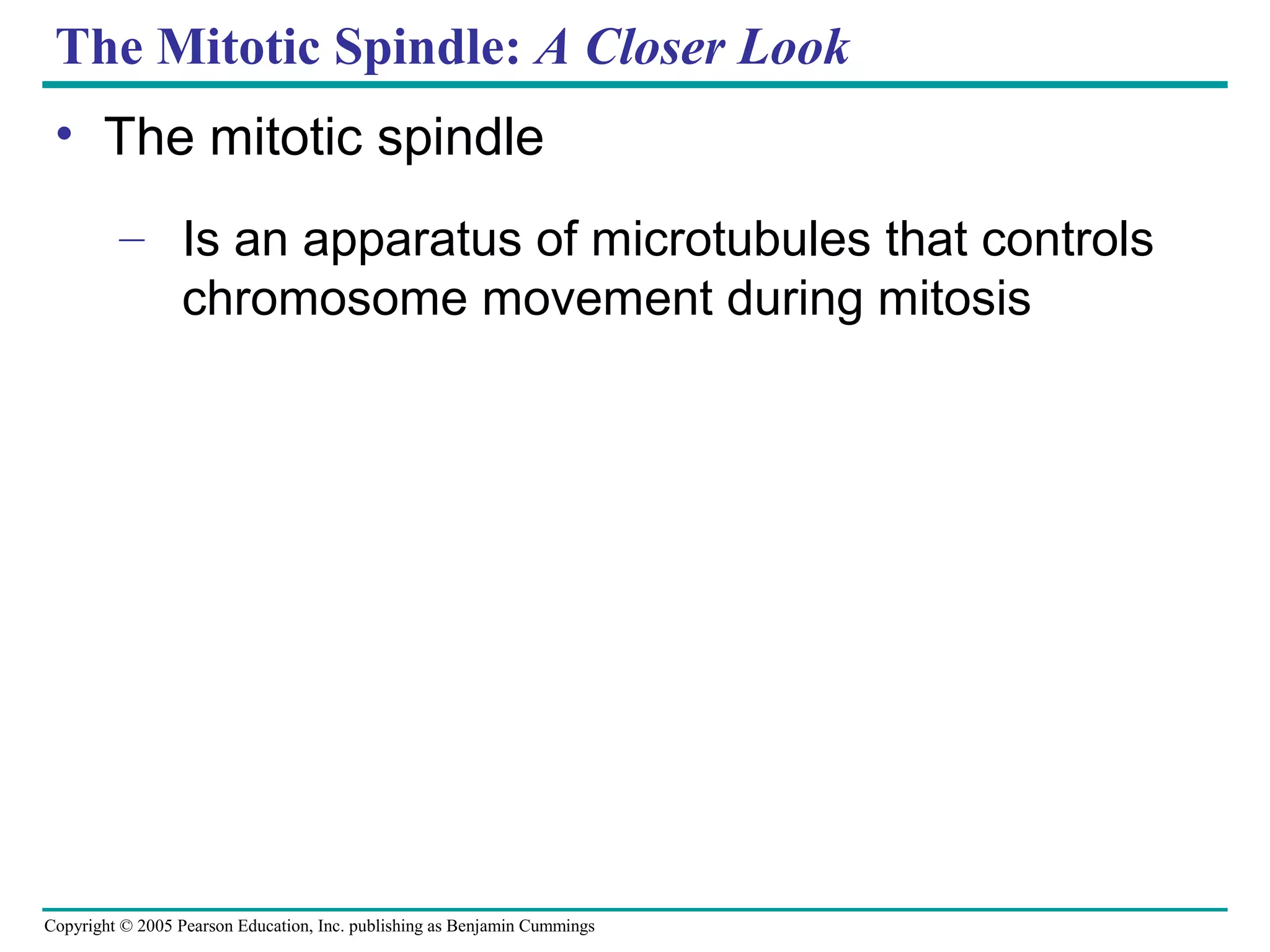 The Mitotic Spindle: A Closer Look
• The mitotic spindle
– Is an apparatus of microtubules that controls
chromosome movement during mitosis

Copyright © 2005 Pearson Education, Inc. publishing as Benjamin Cummings

 