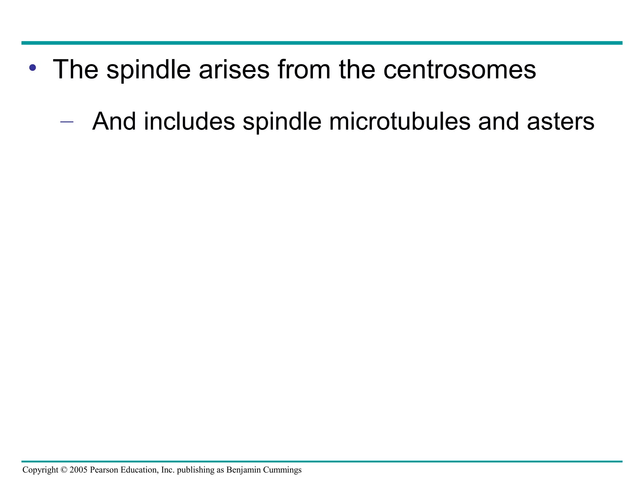 • The spindle arises from the centrosomes
– And includes spindle microtubules and asters

Copyright © 2005 Pearson Education, Inc. publishing as Benjamin Cummings

 