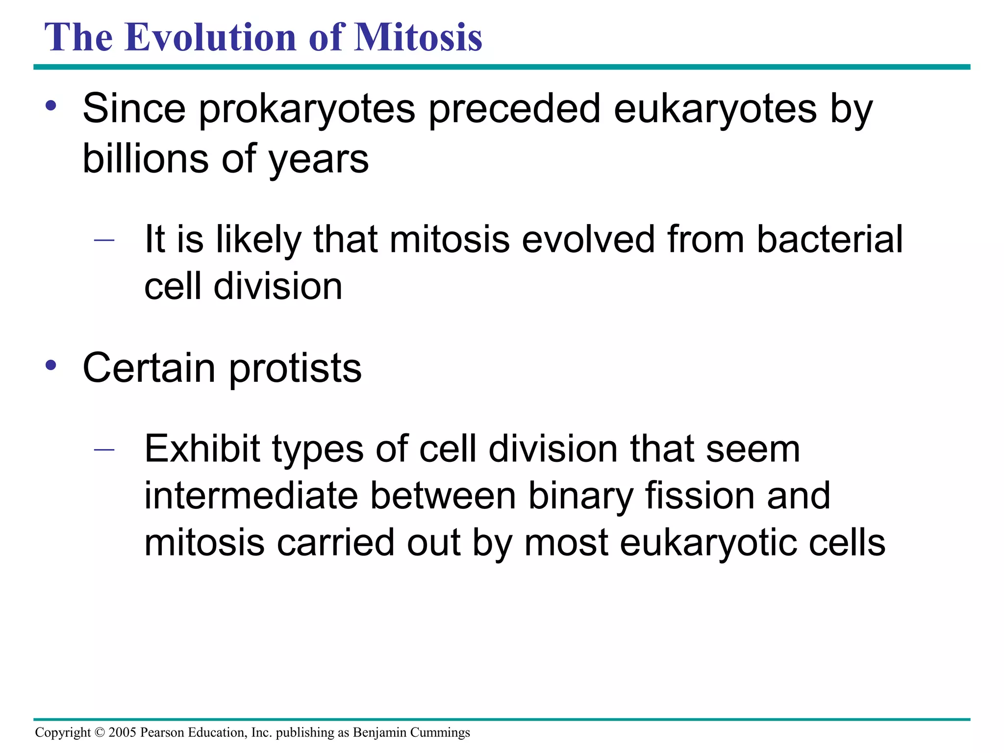 The Evolution of Mitosis
• Since prokaryotes preceded eukaryotes by
billions of years
– It is likely that mitosis evolved from bacterial
cell division

• Certain protists
– Exhibit types of cell division that seem
intermediate between binary fission and
mitosis carried out by most eukaryotic cells

Copyright © 2005 Pearson Education, Inc. publishing as Benjamin Cummings

 