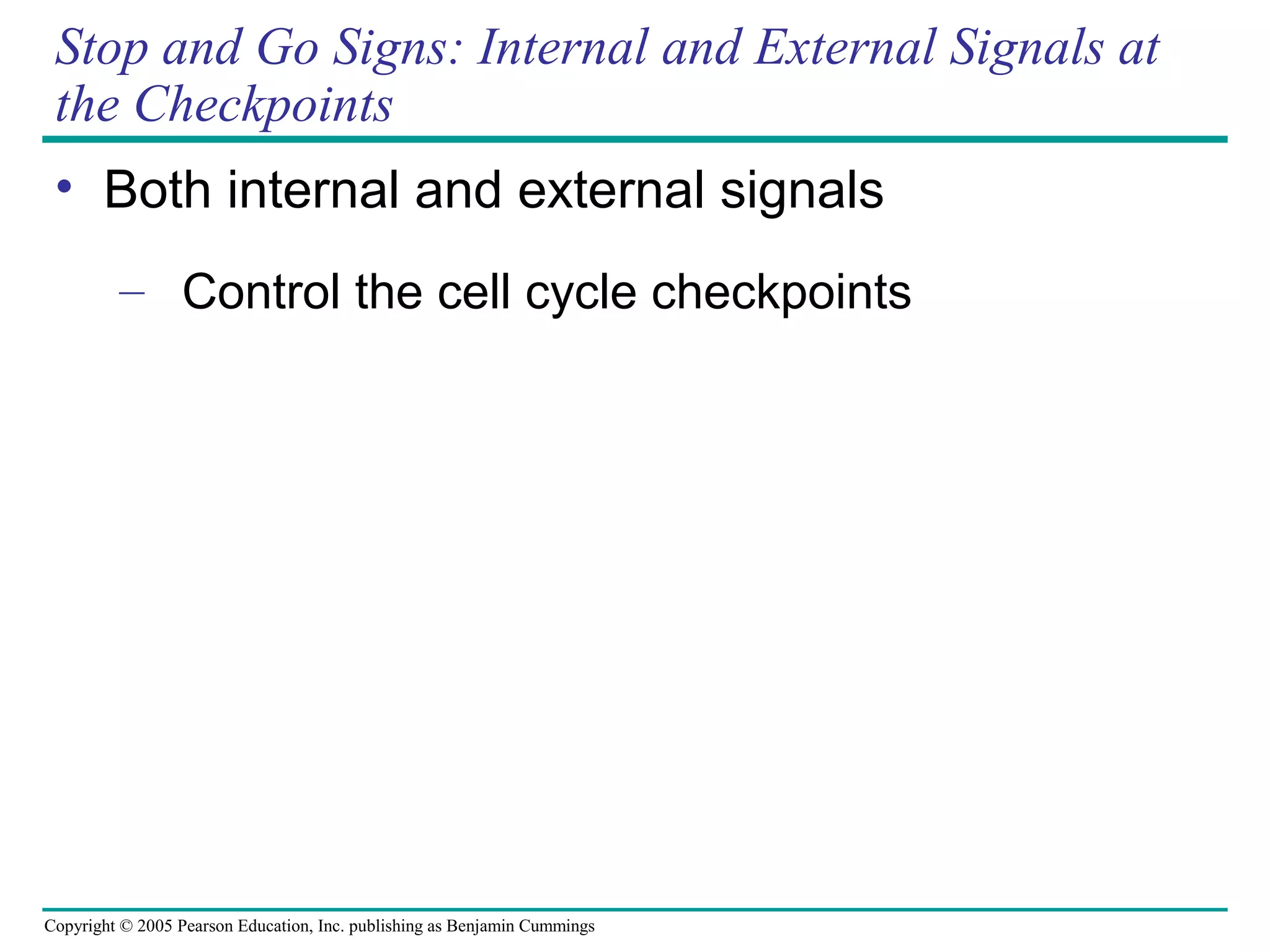 Stop and Go Signs: Internal and External Signals at
the Checkpoints
• Both internal and external signals
– Control the cell cycle checkpoints

Copyright © 2005 Pearson Education, Inc. publishing as Benjamin Cummings

 