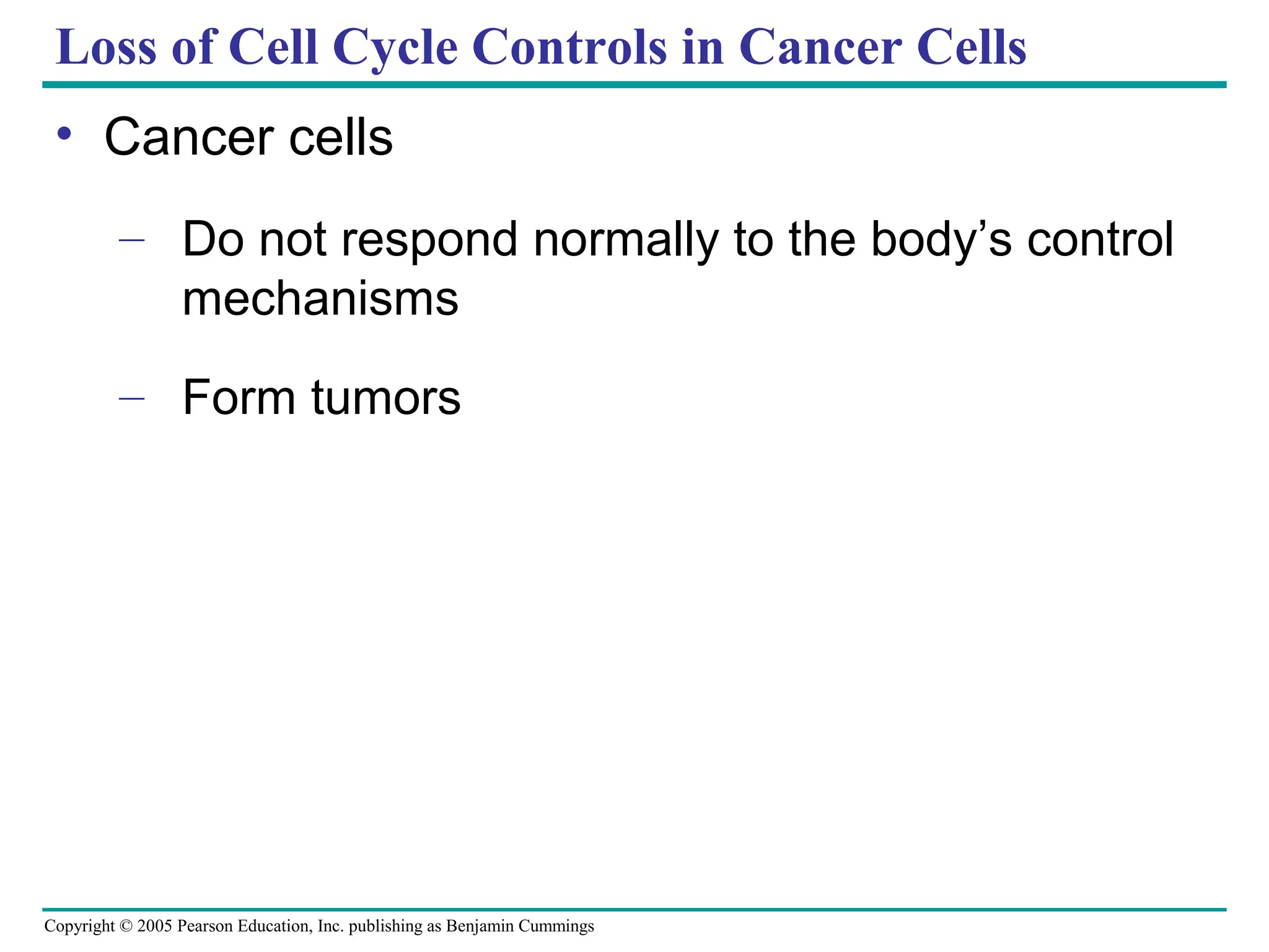 Loss of Cell Cycle Controls in Cancer Cells
• Cancer cells
– Do not respond normally to the body’s control
mechanisms
– Form tumors

Copyright © 2005 Pearson Education, Inc. publishing as Benjamin Cummings

 
