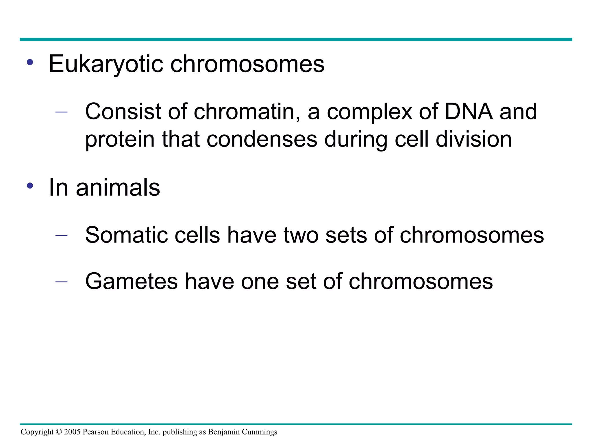 • Eukaryotic chromosomes
– Consist of chromatin, a complex of DNA and
protein that condenses during cell division

• In animals
– Somatic cells have two sets of chromosomes
– Gametes have one set of chromosomes

Copyright © 2005 Pearson Education, Inc. publishing as Benjamin Cummings

 