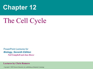 Chapter 12

The Cell Cycle

PowerPoint Lectures for
Biology, Seventh Edition
Neil Campbell and Jane Reece

Lectures by Chris Romero
Copyright © 2005 Pearson Education, Inc. publishing as Benjamin Cummings

 