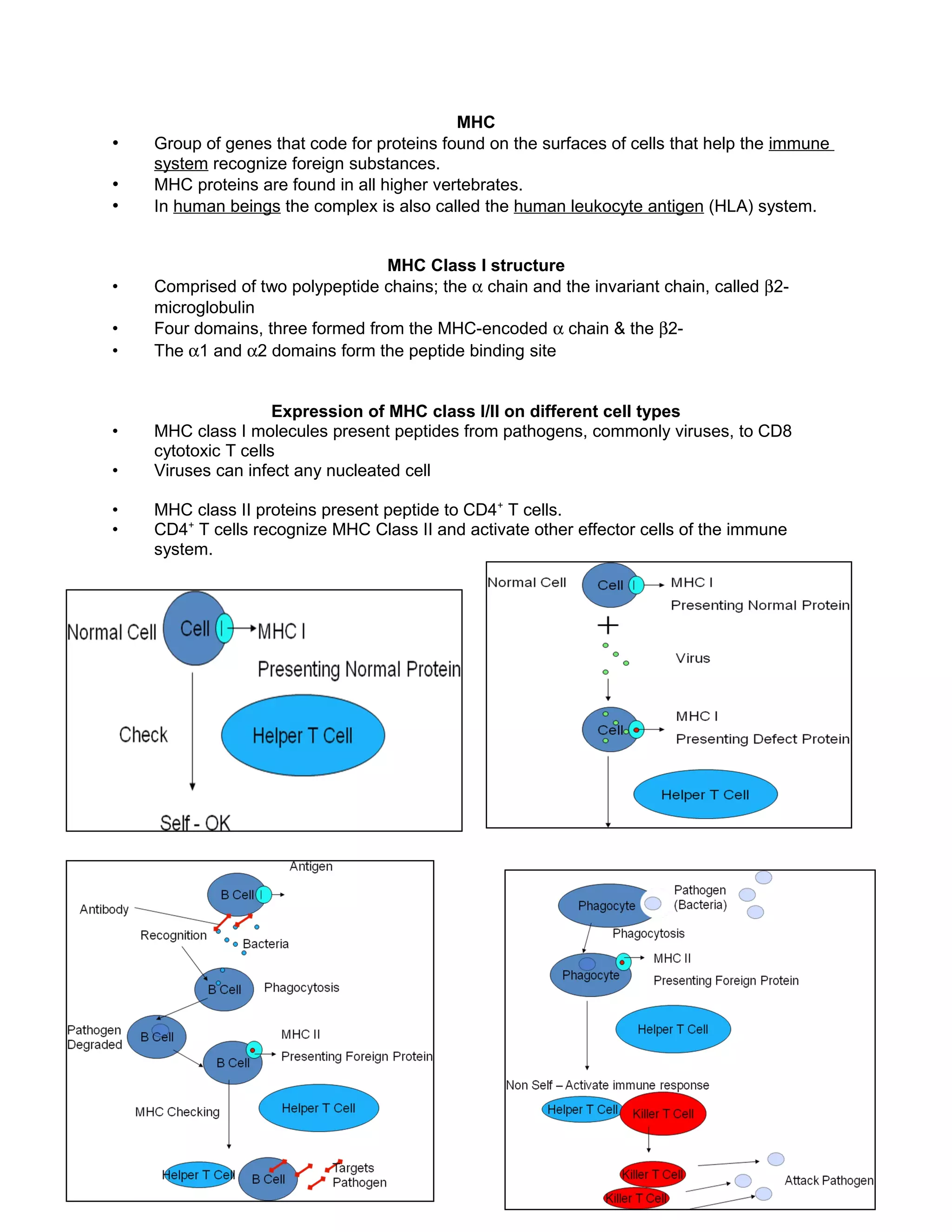 MHC
• Group of genes that code for proteins found on the surfaces of cells that help the immune
system recognize foreign substances.
• MHC proteins are found in all higher vertebrates.
• In human beings the complex is also called the human leukocyte antigen (HLA) system.
MHC Class I structure
• Comprised of two polypeptide chains; the α chain and the invariant chain, called β2-
microglobulin
• Four domains, three formed from the MHC-encoded α chain & the β2-
• The α1 and α2 domains form the peptide binding site
Expression of MHC class I/II on different cell types
• MHC class I molecules present peptides from pathogens, commonly viruses, to CD8
cytotoxic T cells
• Viruses can infect any nucleated cell
• MHC class II proteins present peptide to CD4+
T cells.
• CD4+
T cells recognize MHC Class II and activate other effector cells of the immune
system.
 