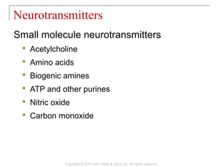 Small molecule neurotransmitters
 Acetylcholine
 Amino acids
 Biogenic amines
 ATP and other purines
 Nitric oxide
 Carbon monoxide
Neurotransmitters
Copyright © 2014 John Wiley & Sons, Inc. All rights reserved.
 