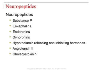 Neuropeptides
 Substance P
 Enkephalins
 Endorphins
 Dynorphins
 Hypothalamic releasing and inhibiting hormones
 Angiotensin II
 Cholecystokinin
Neuropeptides
Copyright © 2014 John Wiley & Sons, Inc. All rights reserved.
 