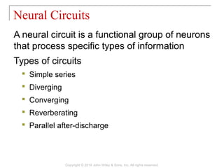 A neural circuit is a functional group of neurons
that process specific types of information
Types of circuits
 Simple series
 Diverging
 Converging
 Reverberating
 Parallel after-discharge
Neural Circuits
Copyright © 2014 John Wiley & Sons, Inc. All rights reserved.
 