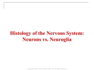 Histology of the Nervous System:
Neurons vs. Neuroglia
Copyright © 2014 John Wiley & Sons, Inc. All rights reserved.
 