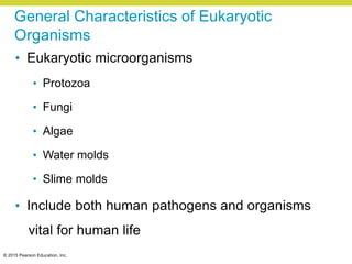 © 2015 Pearson Education, Inc.
General Characteristics of Eukaryotic
Organisms
• Eukaryotic microorganisms
• Protozoa
• Fungi
• Algae
• Water molds
• Slime molds
• Include both human pathogens and organisms
vital for human life
 