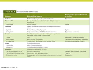 © 2015 Pearson Education, Inc.
 