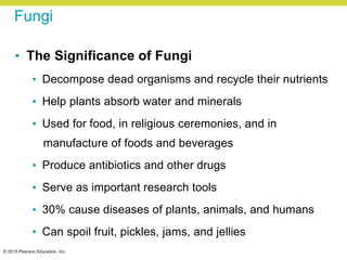© 2015 Pearson Education, Inc.
Fungi
• The Significance of Fungi
• Decompose dead organisms and recycle their nutrients
• Help plants absorb water and minerals
• Used for food, in religious ceremonies, and in
manufacture of foods and beverages
• Produce antibiotics and other drugs
• Serve as important research tools
• 30% cause diseases of plants, animals, and humans
• Can spoil fruit, pickles, jams, and jellies
 