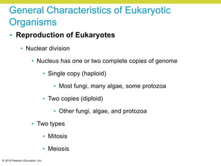 © 2015 Pearson Education, Inc.
General Characteristics of Eukaryotic
Organisms
• Reproduction of Eukaryotes
• Nuclear division
• Nucleus has one or two complete copies of genome
• Single copy (haploid)
• Most fungi, many algae, some protozoa
• Two copies (diploid)
• Other fungi, algae, and protozoa
• Two types
• Mitosis
• Meiosis
 