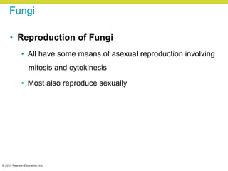 © 2015 Pearson Education, Inc.
Fungi
• Reproduction of Fungi
• All have some means of asexual reproduction involving
mitosis and cytokinesis
• Most also reproduce sexually
 