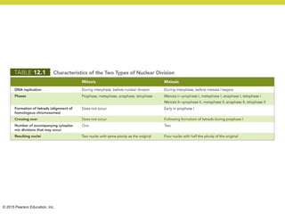 © 2015 Pearson Education, Inc.
 