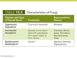 © 2015 Pearson Education, Inc.
 