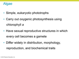 © 2015 Pearson Education, Inc.
Algae
• Simple, eukaryotic phototrophs
• Carry out oxygenic photosynthesis using
chlorophyll a
• Have sexual reproductive structures in which
every cell becomes a gamete
• Differ widely in distribution, morphology,
reproduction, and biochemical traits
 