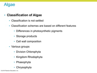 © 2015 Pearson Education, Inc.
Algae
• Classification of Algae
• Classification is not settled
• Classification schemes are based on different features
• Differences in photosynthetic pigments
• Storage products
• Cell wall composition
• Various groups
• Division Chlorophyta
• Kingdom Rhodophyta
• Phaeophyta
• Chrysophyta
 