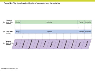 © 2015 Pearson Education, Inc.
Figure 12.4 The changing classification of eukaryotes over the centuries.
 