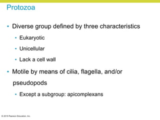© 2015 Pearson Education, Inc.
Protozoa
• Diverse group defined by three characteristics
• Eukaryotic
• Unicellular
• Lack a cell wall
• Motile by means of cilia, flagella, and/or
pseudopods
• Except a subgroup: apicomplexans
 