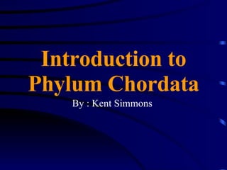 Introduction to Phylum Chordata By : Kent Simmons  