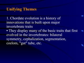 Unifying Themes 1. Chordate evolution is a history of innovations that is built upon major invertebrate traits They display many of the basic traits that first evolved in the invertebrates: bilateral symmetry, cephalization, segmentation, coelom, "gut" tube, etc. 