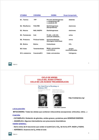 VITAMINA           COENZIMA                                  ENZIMA                    Grupo transportado


          B1, Tiamina         TPP                         Piruvato deshidrogenasa                         Aldehido
                                                          α-ceto -glutarato DH
                                                          α -cetoácido DH

          B2, Riboflavina    FAD,FMN                      Deshidrogenasas                                 electrones
                                                          (flavoproteínas)

          B3, Niacina        NAD, NADPH                   Deshidrogenasas                                 electrones


          B5, Pantotenato    CoA                          Pir-DH, α-KG -DH,                               acilos
                                                          acil-CoA sintetasas...

          B6, Piridoxina     Piridoxal fosfato            Aminotransferasas                               amino
                                                          (Glucógeno fosforilasa)

          B8, Biotina        Biotina                      Carboxilasas                                    CO 2


          B9, Folato         Tetrahidrofolato             Metab. aminoácidos                              grupos
                                                          y pirimidinas                                monocarbonados

          B12, cobalamina    CoenzimaB12                  Catab. aminoácidos                              hidrógenos




                                                                                                                                   7
TEMA 19




                                      CICLO DE KREBS
                                  CICLO DEL ÁCIDO CÍTRICO
                           CICLO DE LOS ÁCIDOS TRICARBOXÍLICOS

                                    The Nobel Prize in Physiology or
                                    Medicine 1953
                                    "for his discovery of the citric    "for his discovery of co-
                                    acid cycle"                         enzyme A and its importance
                                                                        for intermediary metabolism"




                                                                                                          http://nobelprize.org/




                                    Hans Adolf Krebs                       Fritz Albert Lipmann
LOCALIZACIÓN:
MITOCONDRIA. Todas las células que contienen mitocondrias (excepciones: eritrocitos, retina…)

FUNCIÓN:
- CATABÓLICA. Oxidación de glúcidos, acidos grasos y proteínas para GENERAR ENERGÍA
- ANABÓLICA. Algunos intermediarios son precursores biosintéticos
VISIÓN GENERAL:
- Serie cíclica de 8 reacciones que oxidan el acetil-CoA a CO2. Se forma ATP, NADH y FADH2.
- AERÓBICO. Ausencia de O2 inhibe el ciclo

                                                                                                                                   8
TEMA 19
 