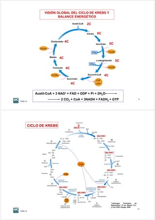 VISIÓN GLOBAL DEL CICLO DE KREBS Y
                          BALANCE ENERGÉTICO

                                         Acetil-CoA   2C

                                                      Citrato    6C

                      Oxalacetato   4C
                                                                Isocitrato   6C



                     Malato   4C
                                                                α-cetoglutarato   5C

                       Fumarato     4C
                                                      Succinil-CoA      4C
                                     Succinato

                                         4C


             Acetil-CoA + 3 NAD+ + FAD + GDP + Pi + 2H2O

TEMA 19
                              2 CO2 + CoA + 3NADH + FADH2 + GTP                                                  9




          CICLO DE KREBS




                                                                              “Lehninger     Principios    de
                                                                              Bioquímica", 4ª ed. Nelson, D.L.
                                                                              y Cox, M.M. Omega. 2006.
                                                                                                                 10
TEMA 19
 