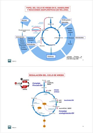 PAPEL DEL CICLO DE KREBS EN EL ANABOLISMO
                          Y REACCIONES ANAPLERÓTICAS (DE RELLENO)




                 Glucosa                                                  Ácidos grasos
                                                                          Esteroides




          Aminoácidos                                                                              Aminoácidos




                            Aminoácidos




                                                 Porfirinas                      “Lehninger     Principios    de
                                                                                 Bioquímica", 4ª ed. Nelson, D.L.
                                                                                 y Cox, M.M. Omega. 2006.
                                                                                                                    11
TEMA 19




                              REGULACIÓN DEL CICLO DE KREBS
                 P inactiva
                                                 ATP,
                    E1                           acetilCoA,
     +     ATP                     Complejo
                                                 NADH
                                   Piruvato-DH
                    E1
                   activa                                     Citrato
                                                  ATP
                                                              sintasa




                                                                    ATP      Isocitrato-DH
                                                                    ADP



                                                                    succinilCoA, NADH

                                                                    Complejo
                                                                    αcetoglutarato-DH




                                                                                                                    12
TEMA 19
 