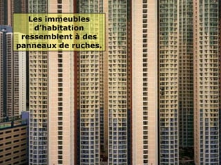 Les immeubles
    d’habitation
 ressemblent à des
panneaux de ruches.
 