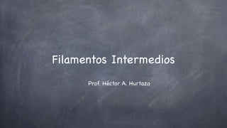 Filamentos Intermedios
      Prof. Héctor A. Hurtazo
 
