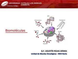 Biomoléculas

Q.F. AGUSTÍN ROJAS ARMAS
Unidad de Mezclas Oncológicas - IREN Norte

 