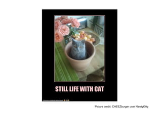 Picture credit: CHEEZburger user NawtyKitty
 