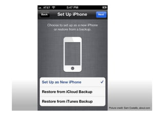 Picture credit: Sam Costello, about.com
 