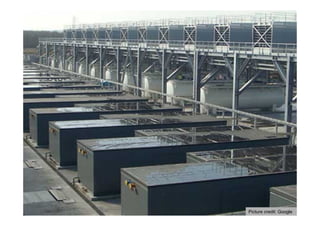 Picture credit: Google
 