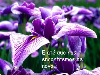 E até que nos encontremos de novo,   