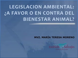 LEGISLACION AMBIENTAL:
¿A FAVOR O EN CONTRA DEL
BIENESTAR ANIMAL?
MVZ. MARÍA TERESA MORENO
 